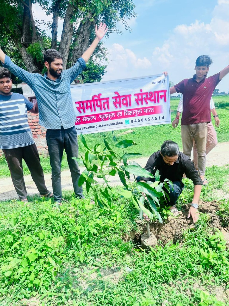Sapling Plantation